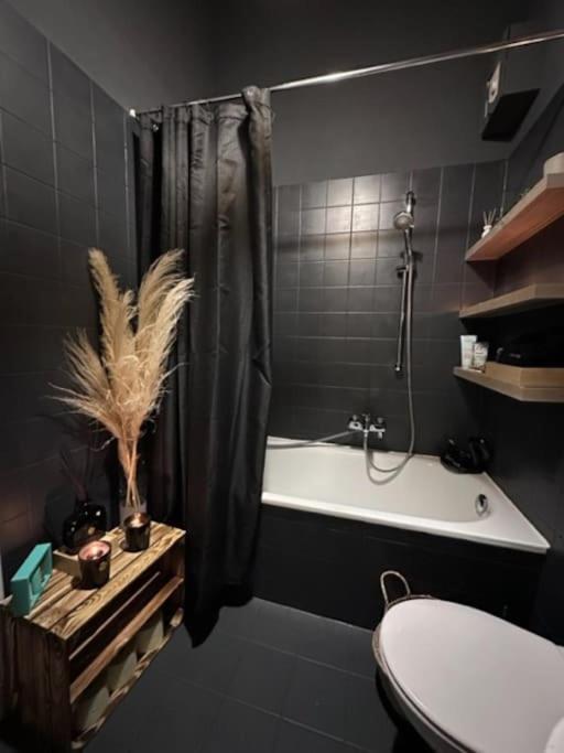 Charming And Cozy Appartement *
